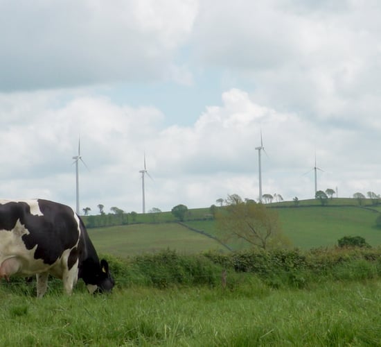 Minister confirms cap on revenues of wind and solar firms