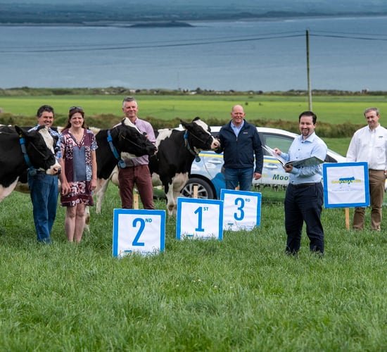 Kerry Holstein Friesian herd competition officially launched