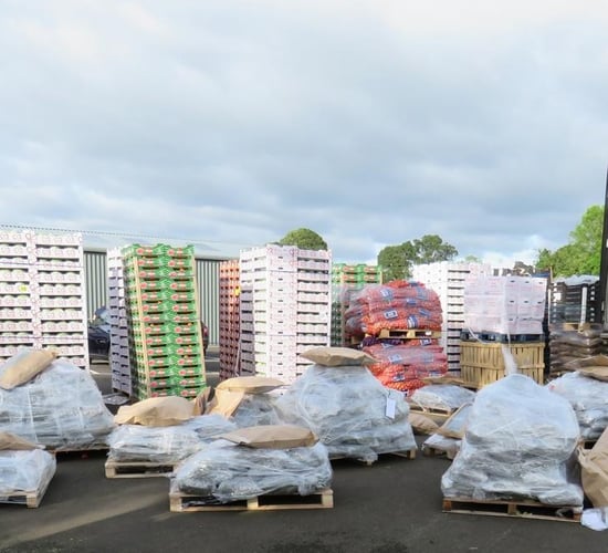 NI's biggest drug seizure found hidden behind veg in refrigerated lorry