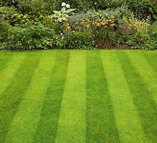 17% of pesticides on the market for non-professional use in Ireland