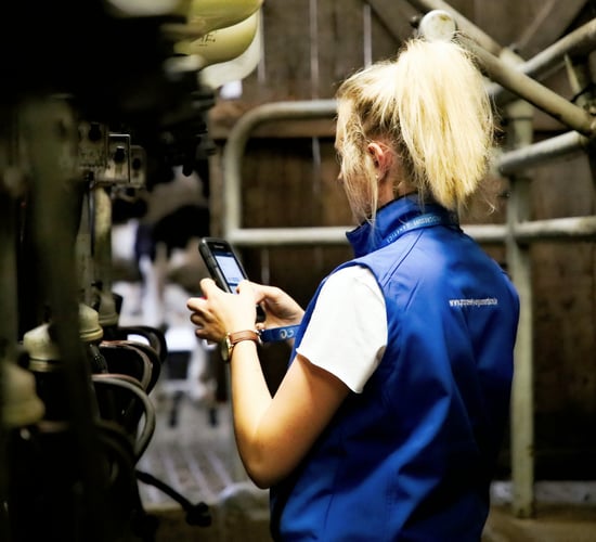 New milk recording initiative launched for Lakeland Dairies suppliers