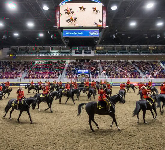Canada's Royal Agricultural Winter Fair cancelled for 2020