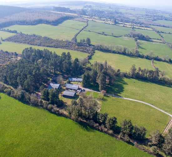 Price tag: 66ac residential farm in Co. Tipperary guiding at €650,000