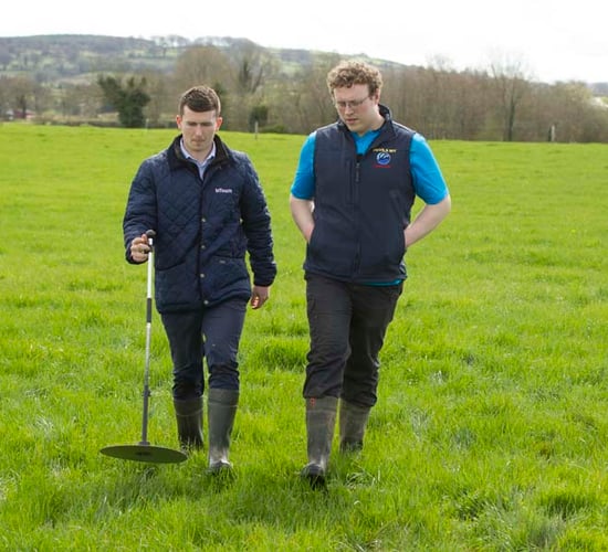 Correct supplementation will maintain production during poor grass growth