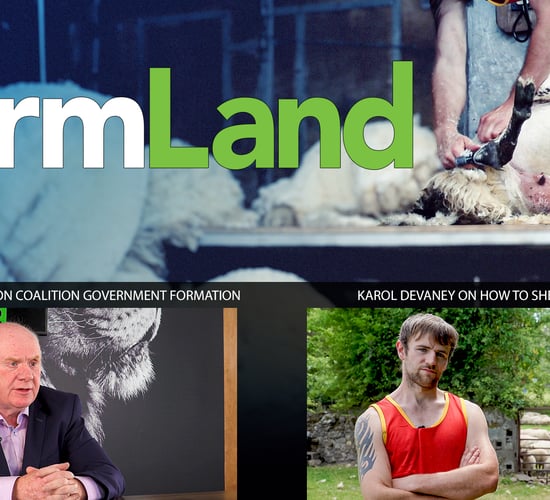 FarmLand: Agri insight on government talks; and shearing with the best