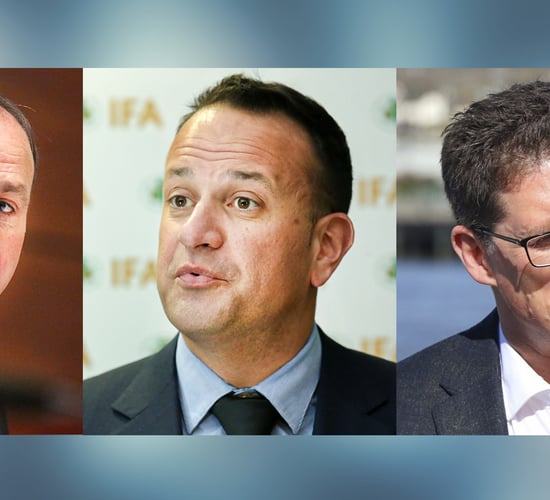 3 would-be coalition partners vote to approve Programme for Government