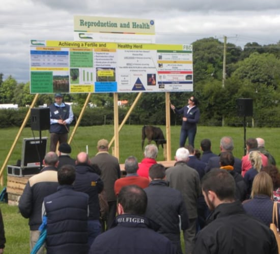 Virtual Beef Week 2020 plans in full swing
