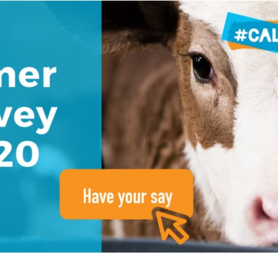 #Calfmatters survey: Want to be in with a chance of winning a calf jacket?