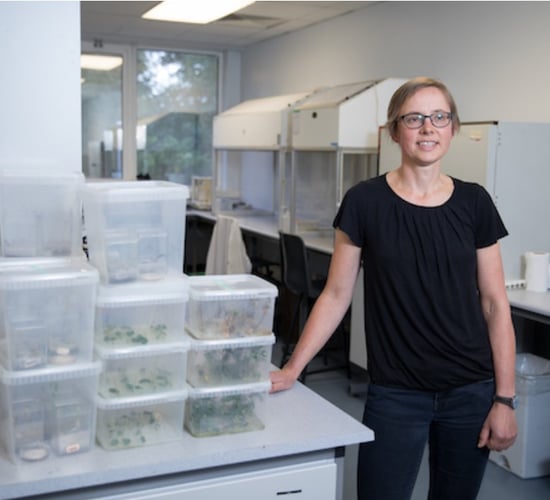UCC's new ag science degree: How has the first year fared?