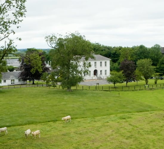 Teagasc: Virtual Beef Week - Farming in a more environmentally sustainable manner - Day 3