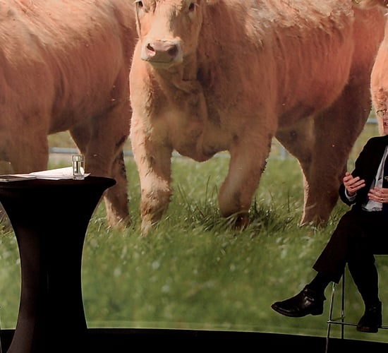 Teagasc: Virtual Beef Week Day: Virtual Beef Week: Addressing the Grand Challenges facing the Irish Beef Sector