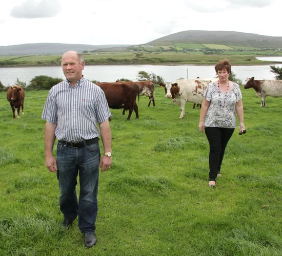 Diversification key for this Burren-based dairy farming family
