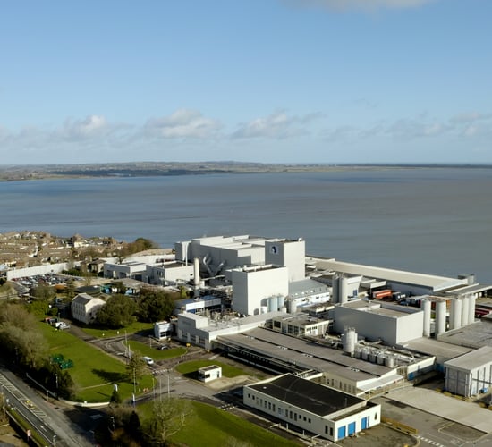 New healthcare director appointed at Danone Ireland