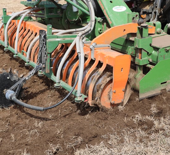 Why autumn reseeding is preferred in Tipperary