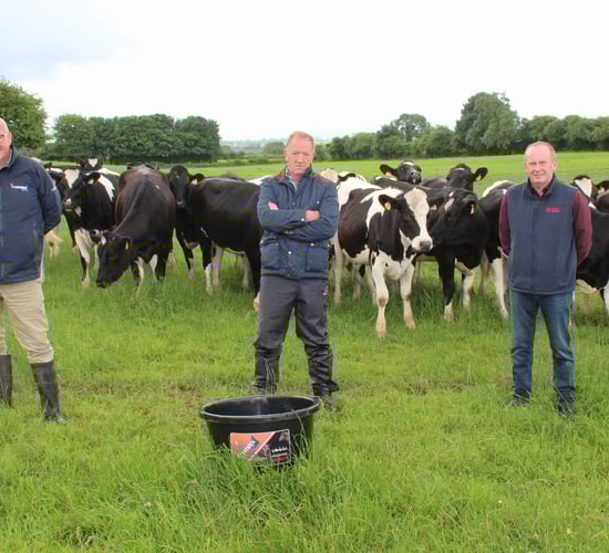 'Increased demand' for feed blocks to prevent summer mastitis
