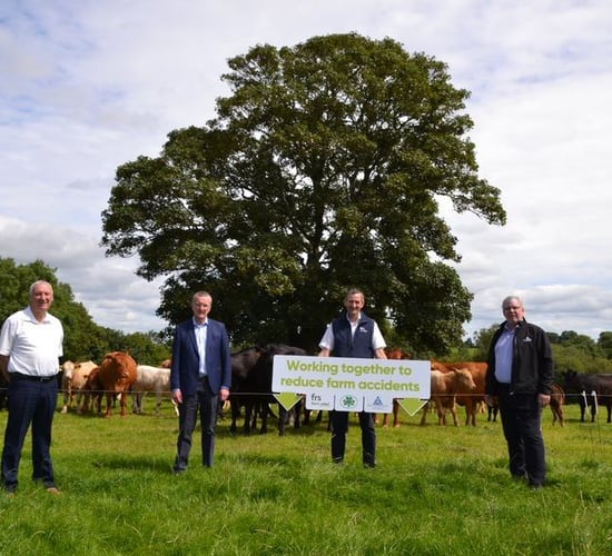 Farm Safety Week: 'Safety needs to be topic of conversation, just like milk prices'