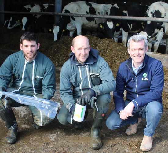Antibiotics no longer used to treat mastitis and high cell counts in the ‘Landmark herd’