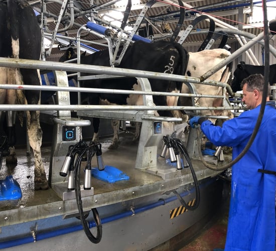 Saving time and bringing back the joy of milking with the help of a new rotary parlour