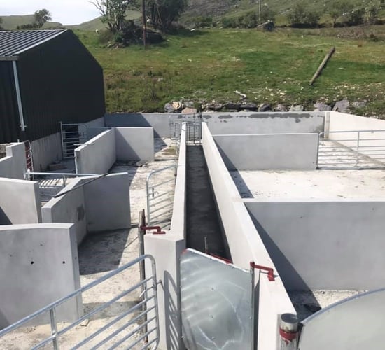 Infrastructure Focus: A brand new handling unit for a 750-ewe flock in Co. Kerry