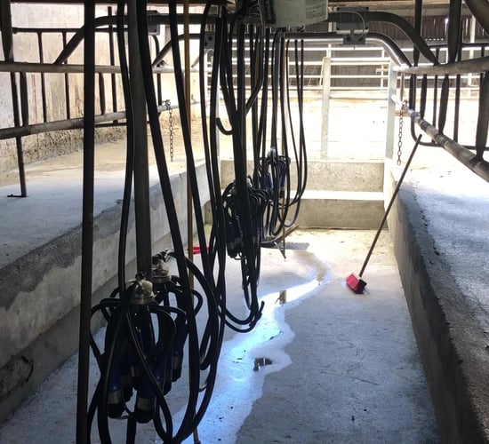 Fears of exodus from winter milk production as costs escalate