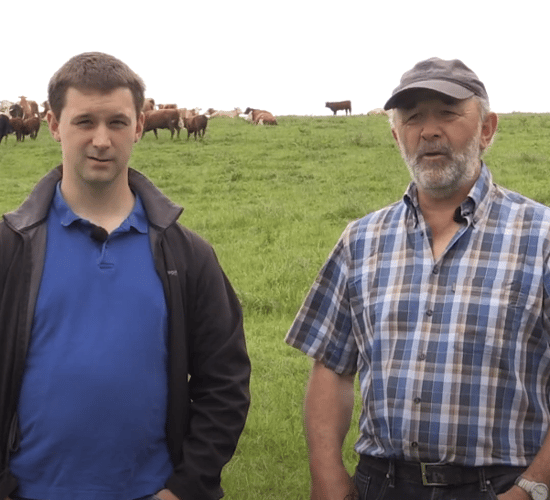 'Our calving interval was 364 days; 85% of the cows calved within the first 6 weeks'