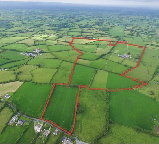 Turnkey residential dairy farm in the heart of the Golden Vale with €16,000 in entitlements