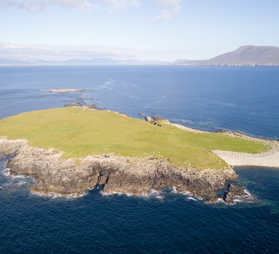 Social distancing the wild way: Private 55ac island guiding at €3,500/ac to go for auction