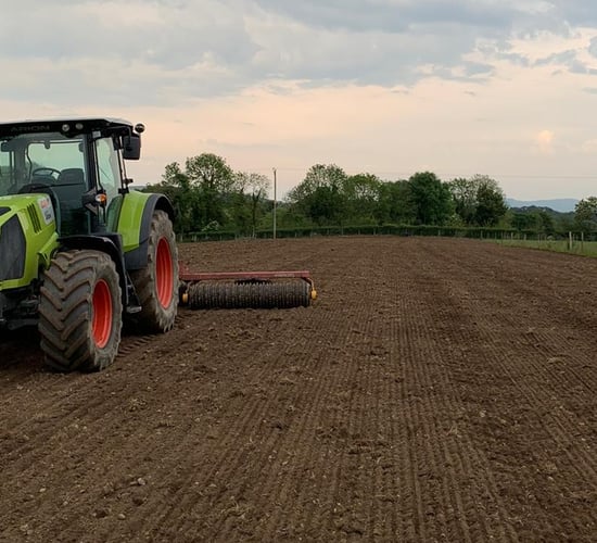 Reseeding with DLF's NxGen tetraploids for a cut above the rest