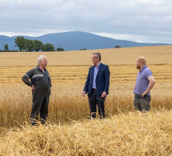 IFA calls on farmers and merchants to use Irish grain