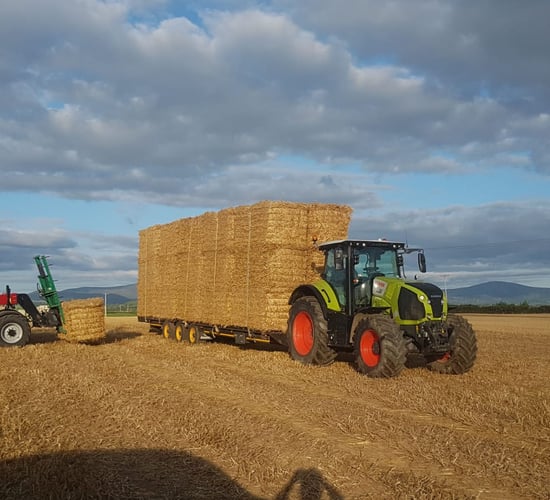 Straw: Demand strong, but early days for prices