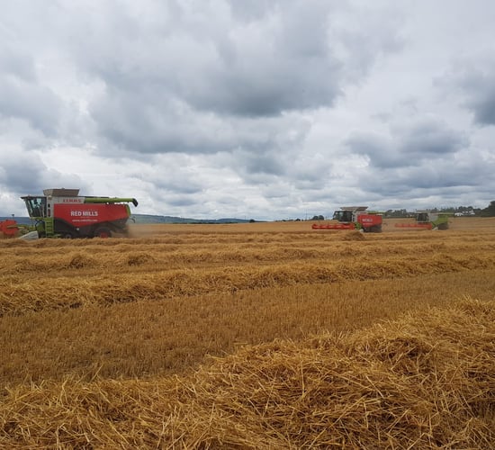 Watch: Harvest kicks off...action from Kilkenny