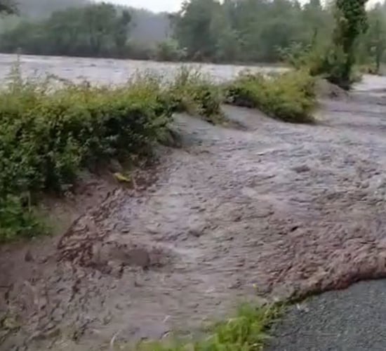 Ministerial visit for area affected by Leitrim bog slide