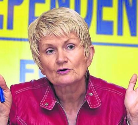 'Government has made a pig's ear out of land designations' - Harkin