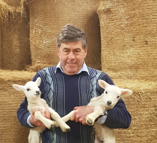 Historian sheep farmer reopens agricultural heritage centre