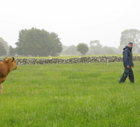 Virtual Beef Week: Eddie Burgess and Farmer Martin Shaughnessy - Live@Grange