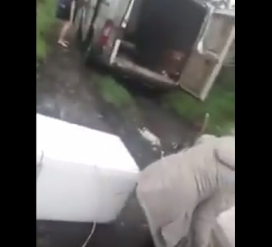 Video: Man confronting alleged illegal dumpers goes viral