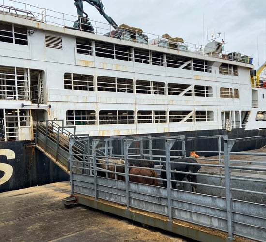End live trade export practice - Leddin