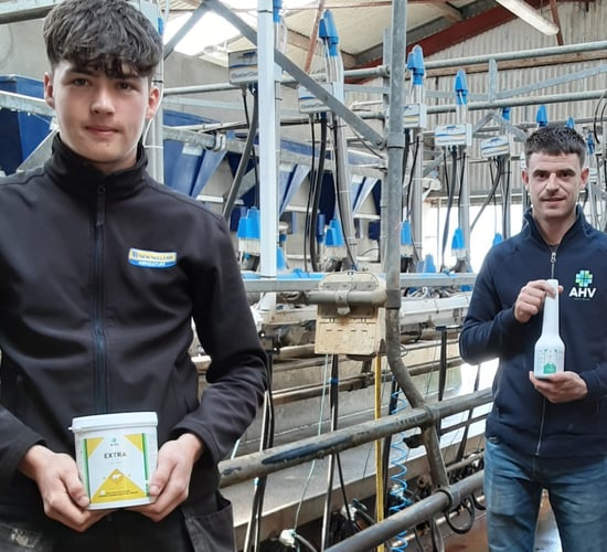 Kerry dairy farmer halves his herd cell count in just 4 weeks