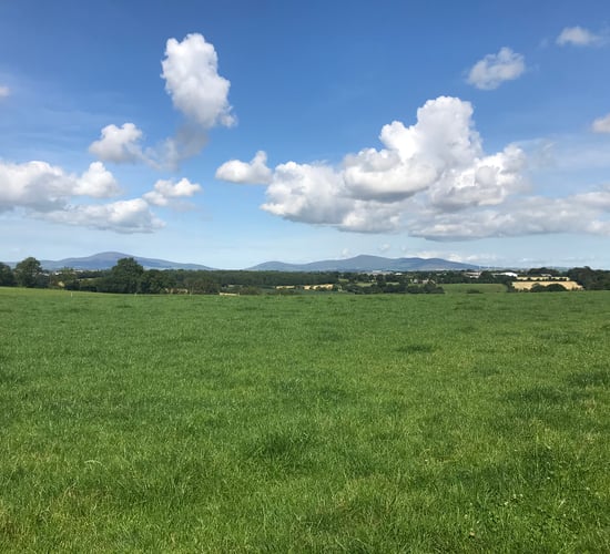 57ac Enniscorthy holding with derelict bungalow for auction