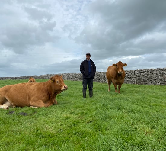 'I can look at any breed and I appreciate every breed; the best of any breed I will admire'