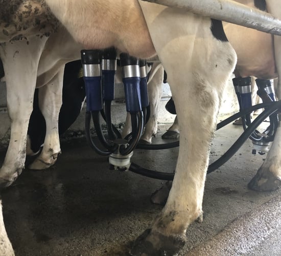 Reminder: Might be time to change those milk liners