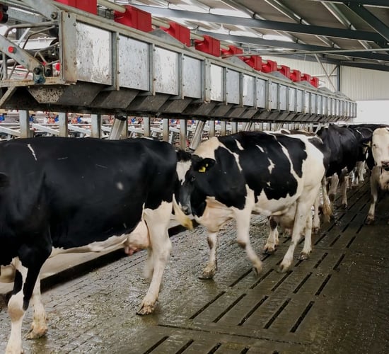 Rebuilding agriculture’s reputation: Now's time to get back on the front foot
