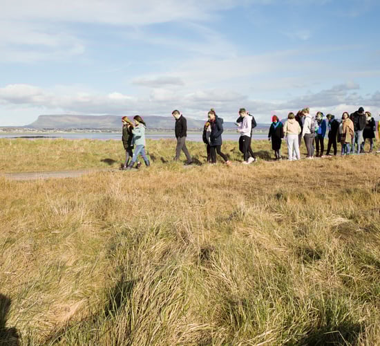 'Good oyster growing sites still available on coast'