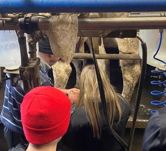 'Sir, when are we going out on the farm?' - Teacher raises concerns over curriculum