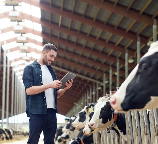 A reliable, high-speed broadband solution for Ireland's rural farming community