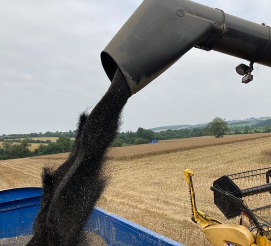 Winter OSR and barley harvest almost wrapped up in NI