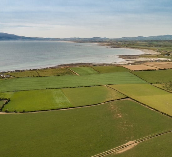 Opportunity to purchase arable and livestock farm with coastal location in Co. Down