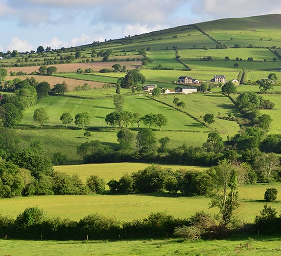 Are you a successful new entrant to farming?