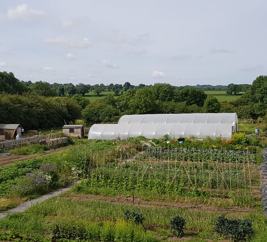 'Interest surge in local food grown using regenerative methods'
