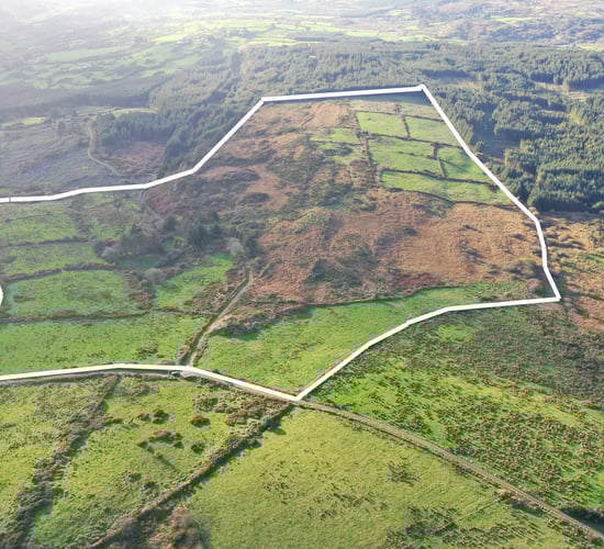 Price tag: 73ac farm in west Cork guiding at €3,424/ac